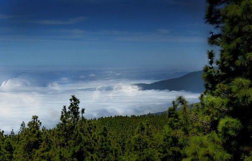 Se trouver au dessus d'une mer de nuages  II