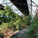 Vegetation in der Abfertigungshalle des alten Güterbahnhofs Duisburg / 19.08.2018