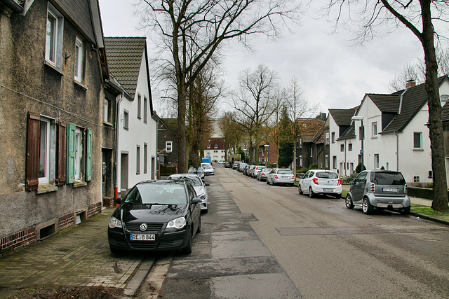 Dillbrinkstraße (Gelsenkirchen-Hassel) / 9.03.2019