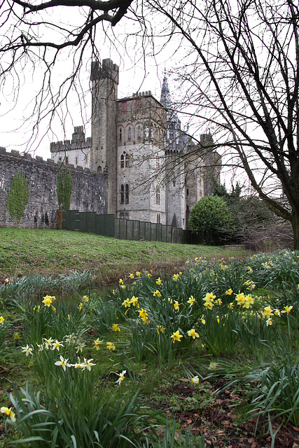 Cardiff Castle