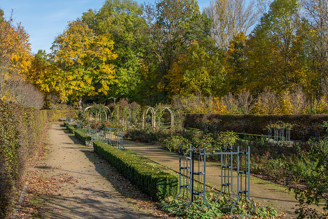 Rosengarten im Herbst