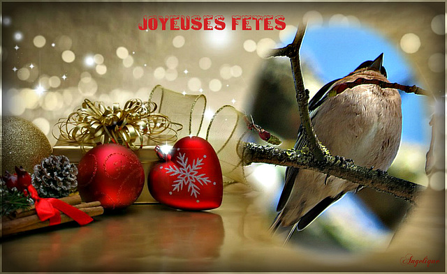 Joyeuses Fêtes à tous !