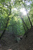Wanderung Hilsbach