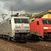 BÖ0012894