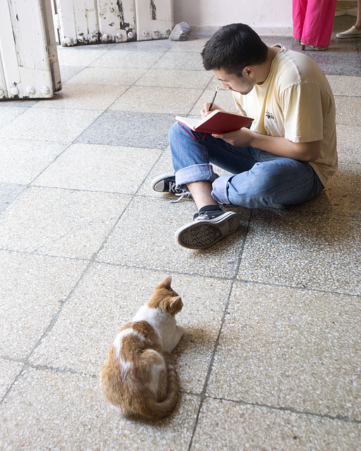 Artist sketching cat, Havana