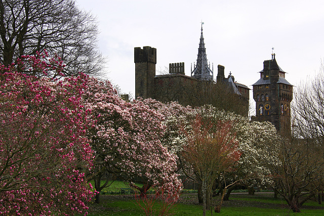 Cardiff Castle