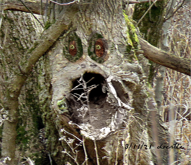 "...people always scare me!"...the tree says.