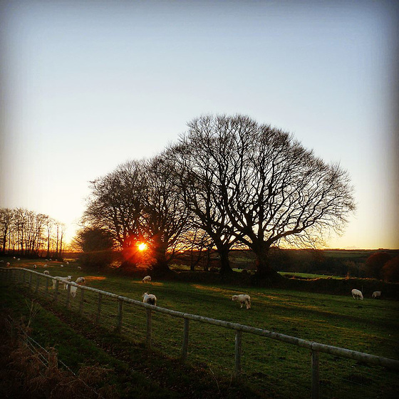 The sun going down on the moor