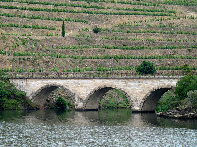 Douro Valley Railway Bridge