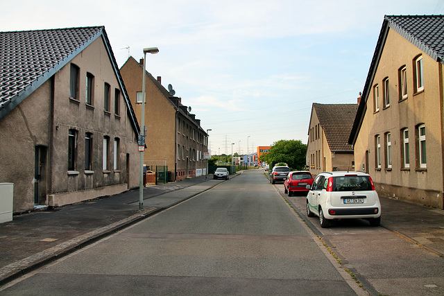 Ginsterweg (Wanne-Eickel) / 21.05.2018