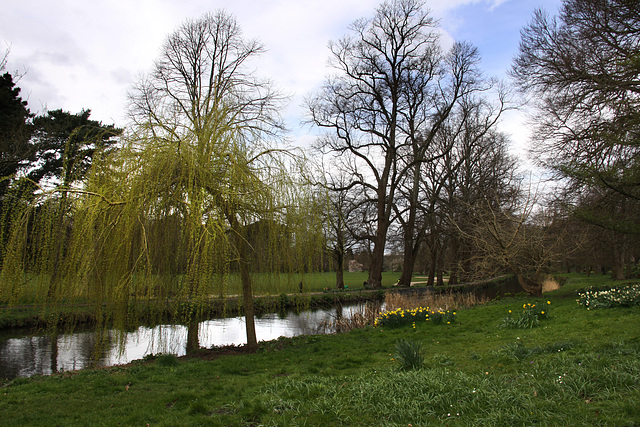 Bute Park