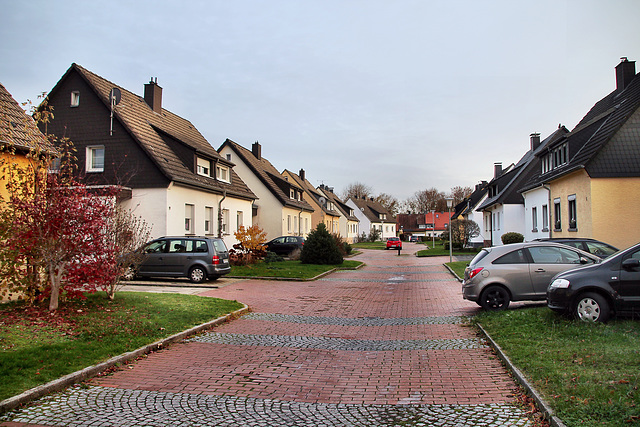 Friedrich-Winter-Straße (Unna-Königsborn) / 26.11.2022