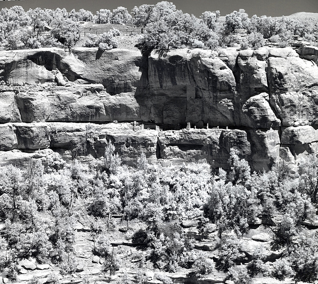 Mesa Verde