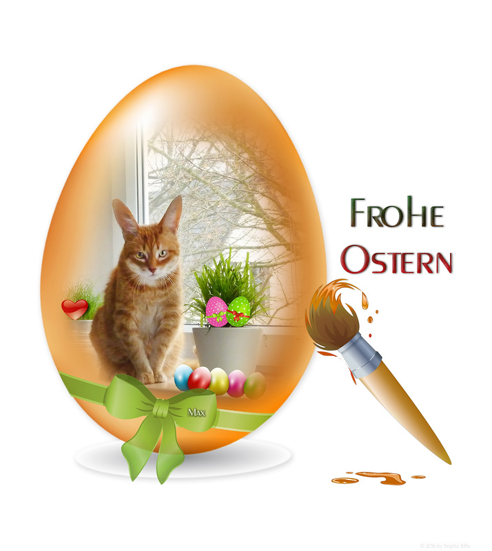 Osterkater :-)