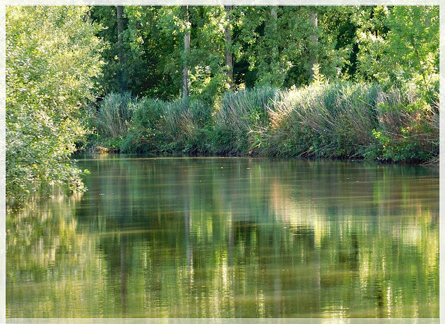 Reflets sur la Rance à bord du JAMAN 5