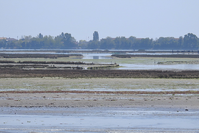 Lagunenlandschaft