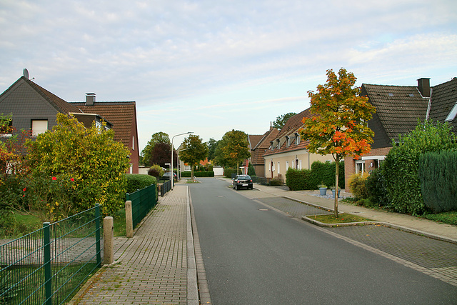Detmolder Straße (Hamm-Bockum-Hövel) / 13.10.2019