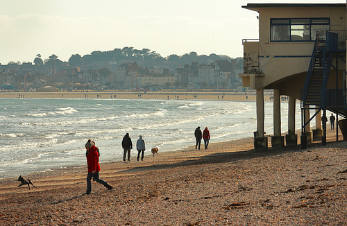 EOS 90D Peter Harriman 14 24 43 58873 pierBandstand dpp