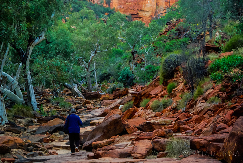 Heading up Kings Canyon