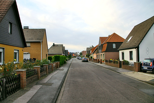 Paderborner Straße (Hamm-Bockum-Hövel) / 13.10.2019