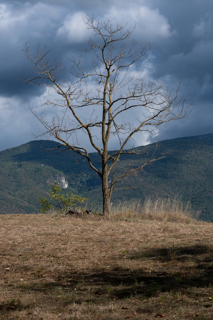 les colères de la nature