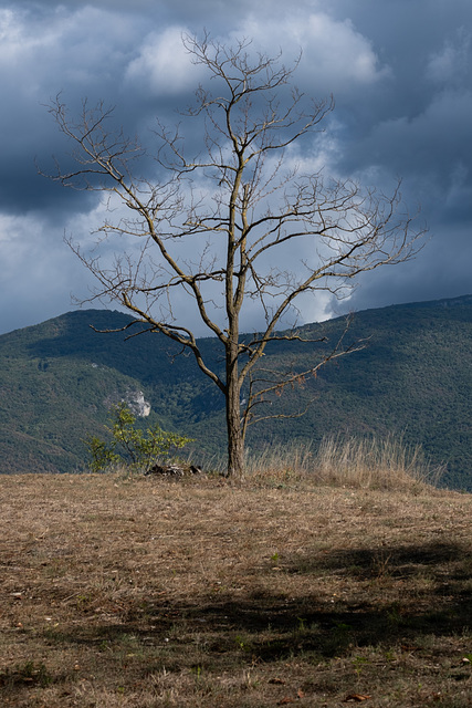 les colères de la nature