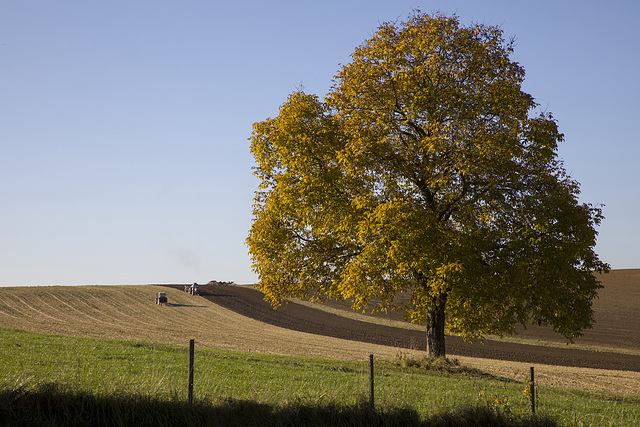 Der Herbst kommt. Autumn is arriving.