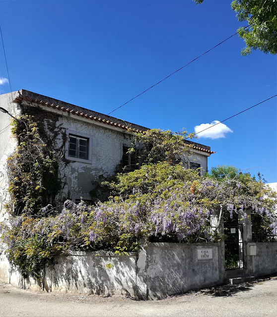 Casa do Freixo