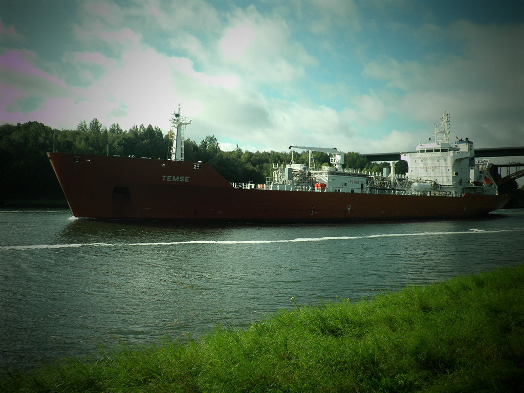 TEMSE