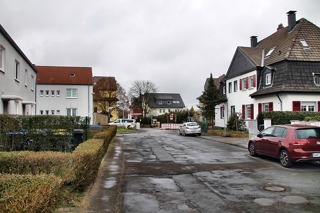 Augustastraße (Victoria-Siedlung, Lünen) / 4.03.2023