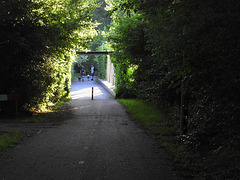 Walk this road