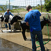 Washing the entries before the sale