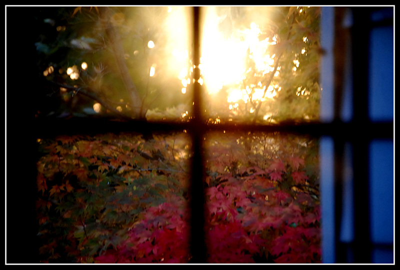 Sunrise in a French door