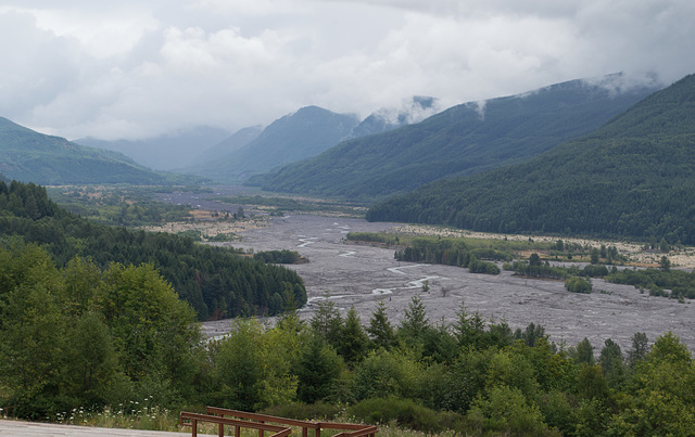 Mt St Helens WA Hoffstadt Creek (#1462)