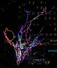 Neon Tree