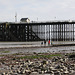 Penarth Pier