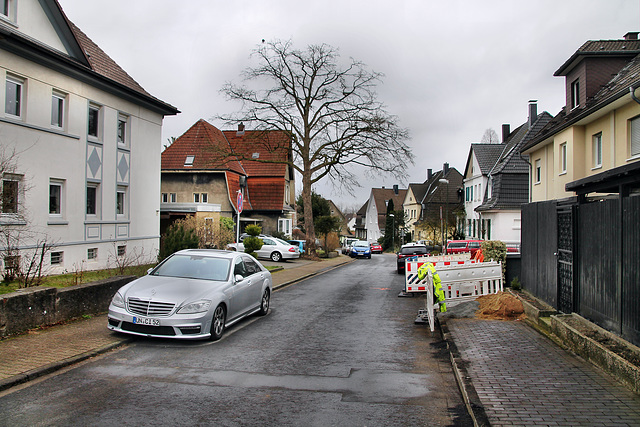 Glückaufstraße (Victoria-Siedlung, Lünen) / 4.03.2023