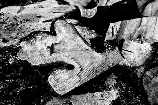 Logs B&W