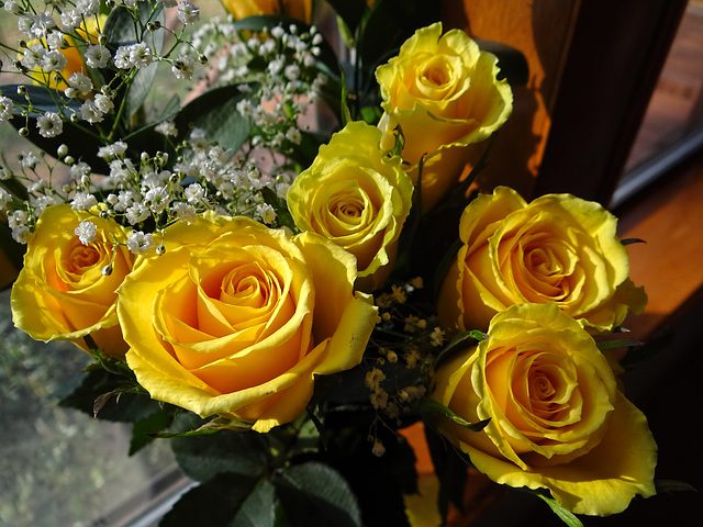 YELLOW ROSES