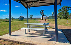 Armatree bench Armatree bench