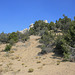 IMG 0830