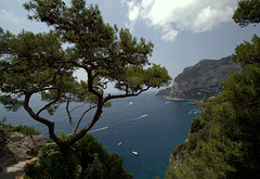 Capri - Da via Tragara