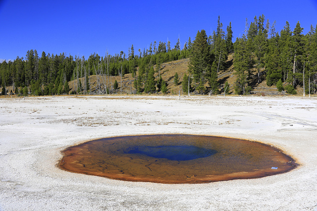 Beauty Pool