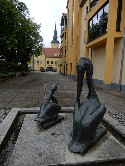 Pelikane in Pesterwitz