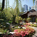 Chinese Garden Of Friendship