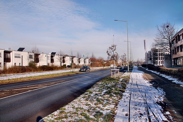 Düsseldorfer Landstraße (Duisburg-Huckingen) / 20.01.2024