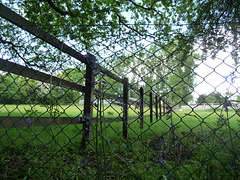 HFF ~~~ A mesh of fencing