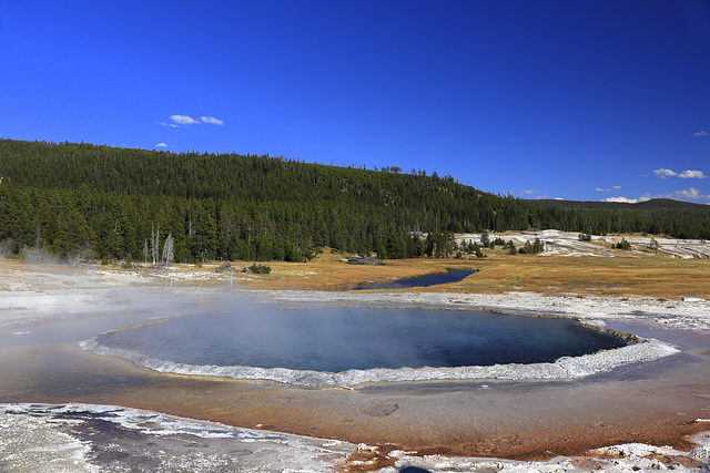 Crested Pool