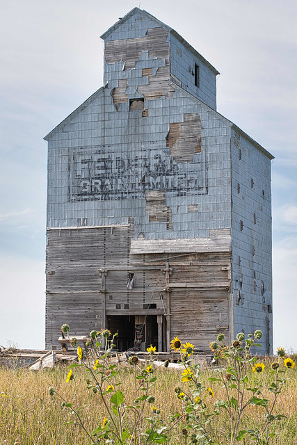 sunflowers and elevator