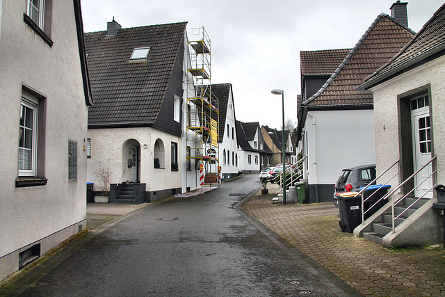 Zeppelinstraße (Victoria-Siedlung, Lünen) / 4.03.2023